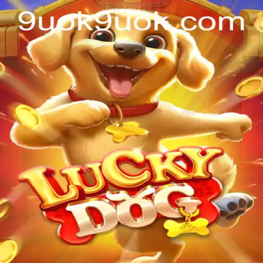 LuckyDog: A Thrilling Game of Chance and Strategy with Code 9UOK